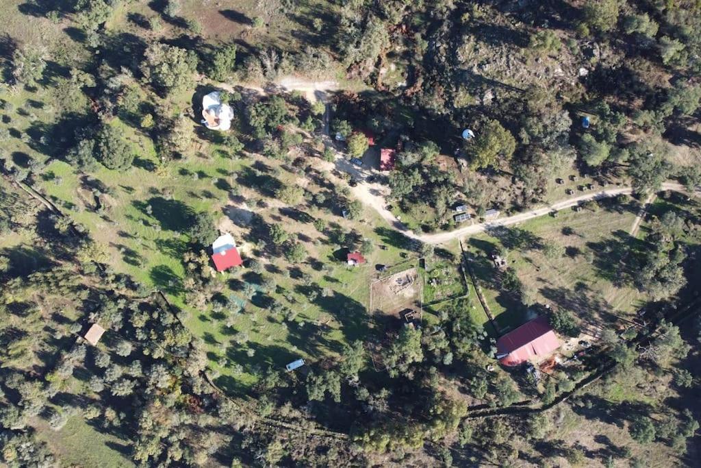 Quinta Terramadome: Dome Incomum & Responsavel Villa Penamacor Eksteriør billede