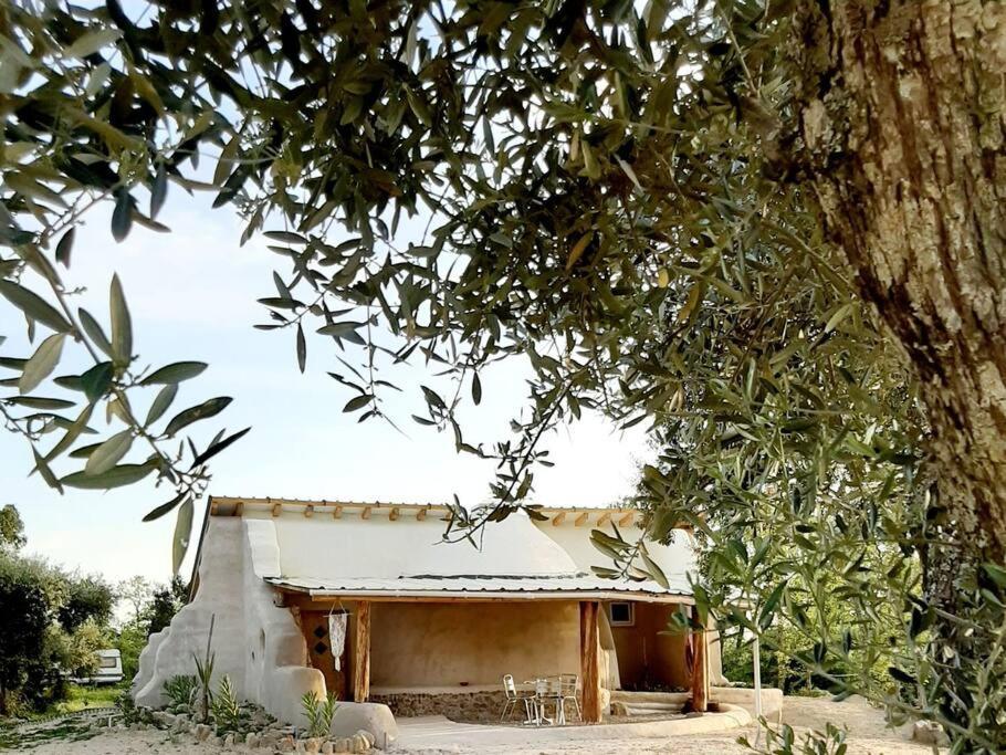 Quinta Terramadome: Dome Incomum & Responsavel Villa Penamacor Eksteriør billede