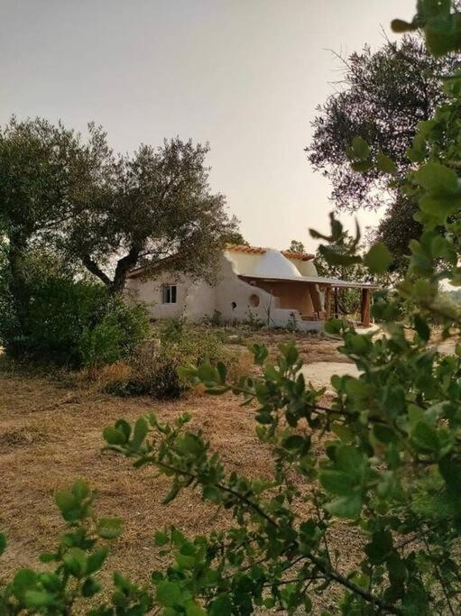 Quinta Terramadome: Dome Incomum & Responsavel Villa Penamacor Eksteriør billede